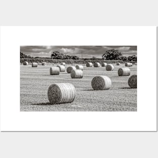 Hay Barrels in a Field Posters and Art